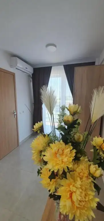 Cameră Hotel Ema Vama Veche